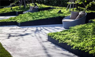 园林景观中的种植池 设计原则与功能探析